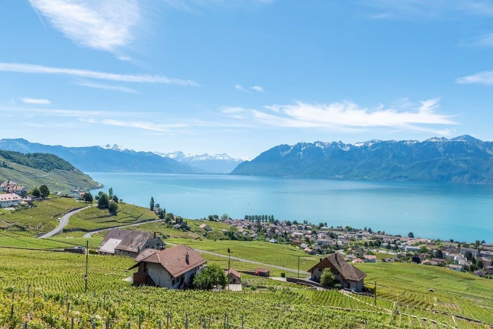 Vaud